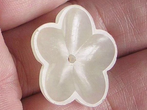 Flower 409 - (5114)